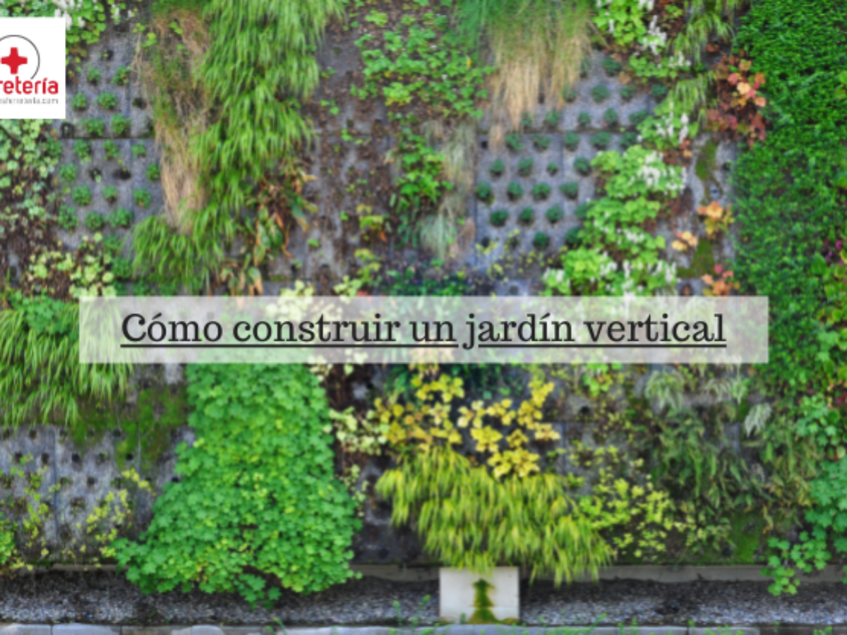 Qué son los jardines verticales y cómo hacer uno